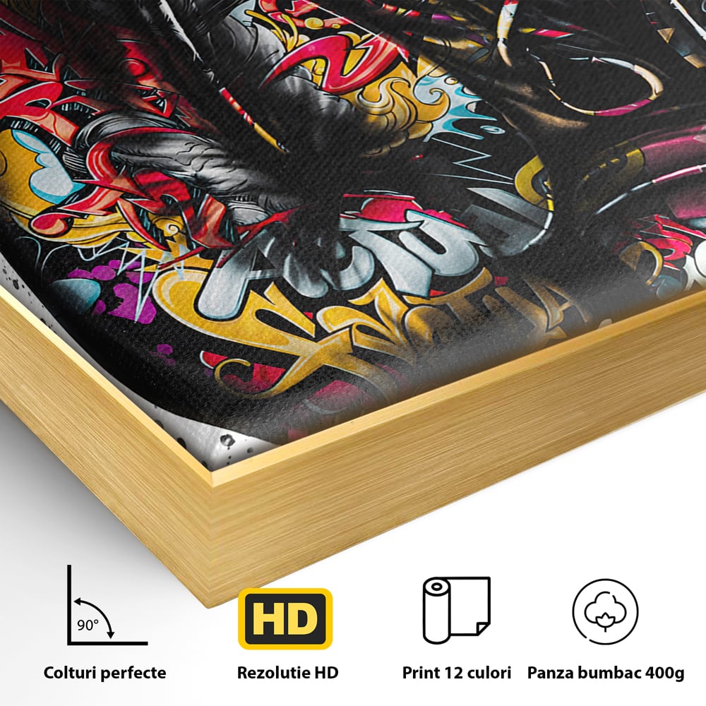 Detaliu al suprafetei: tablou canvas cu manusi de box, in rama de aluminiu auriu